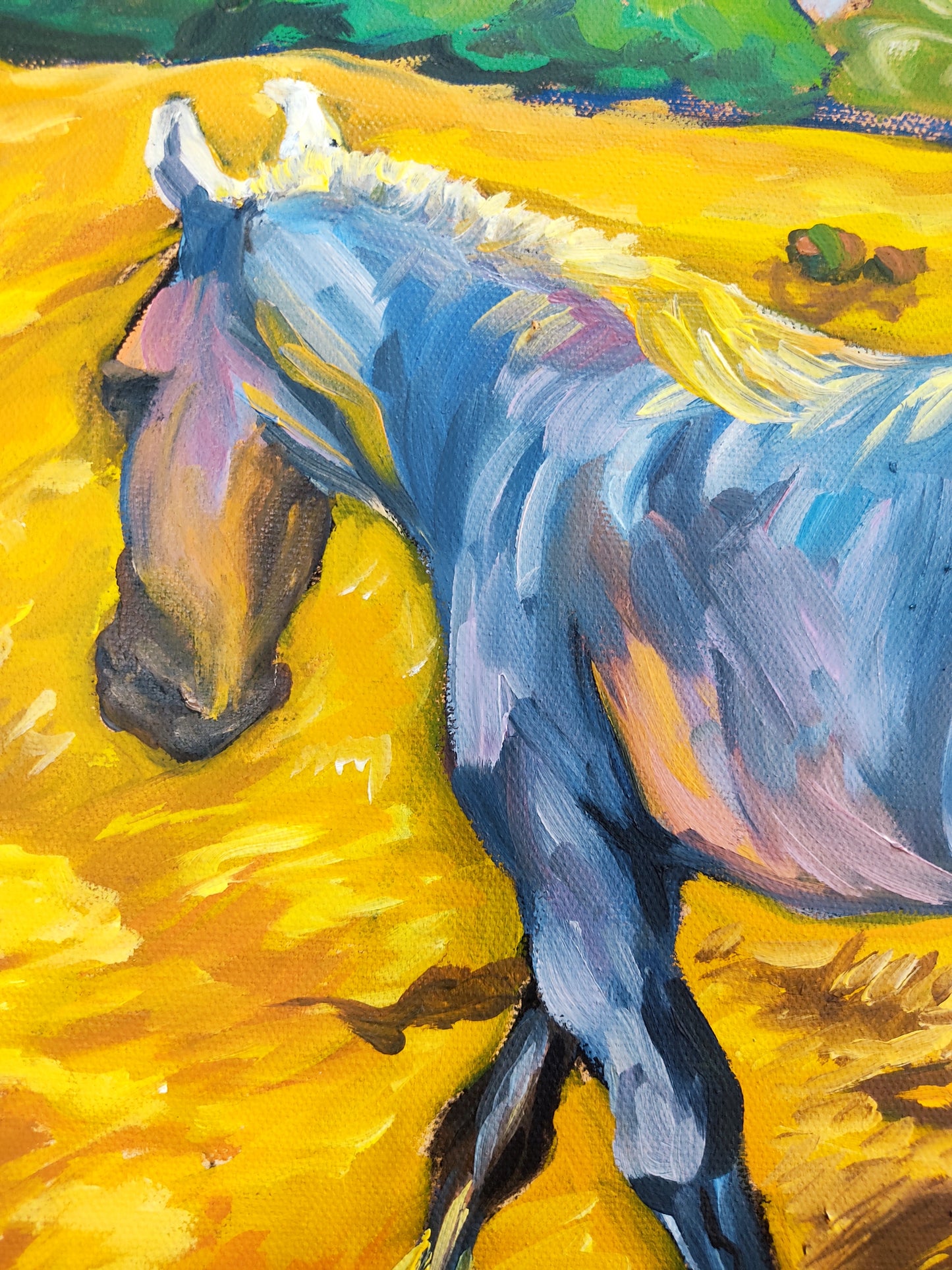 Horse