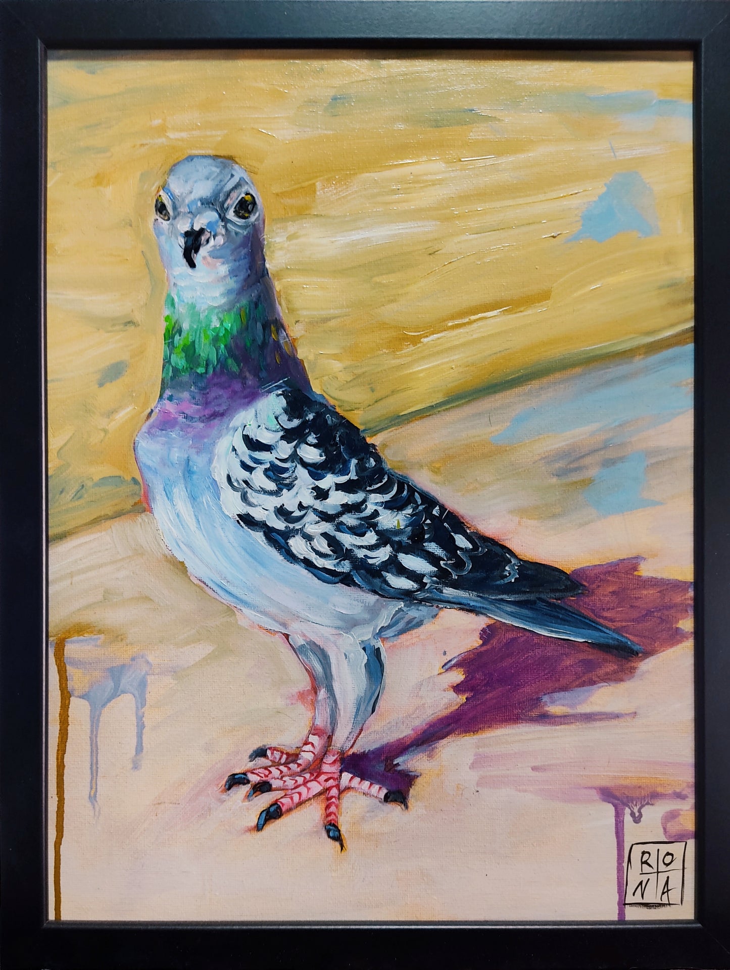 Pigeon
